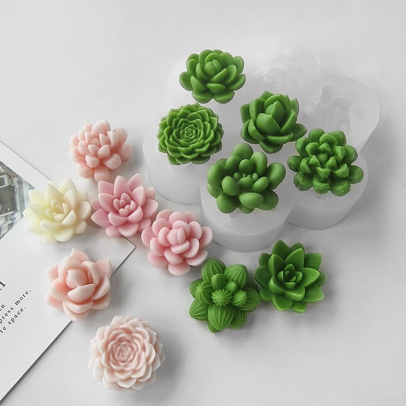 7-in-1 Sukkulenten-Kaktus-Sili – Soap Making Scents Bewertung und Preis