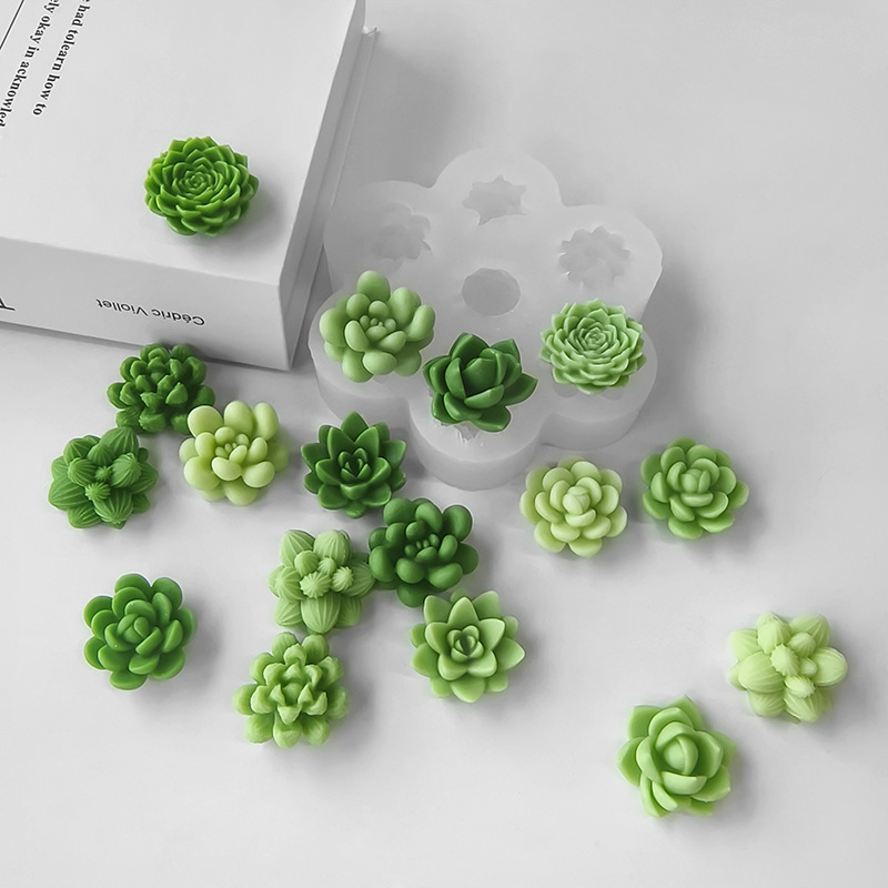 7-in-1 Sukkulenten-Kaktus-Sili – Soap Making Scents Bewertung und Preis