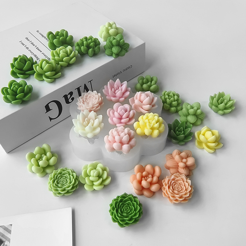 7-in-1 Sukkulenten-Kaktus-Sili – Soap Making Scents Bewertung und Preis